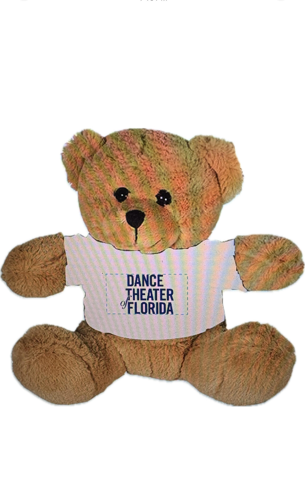 Campaign cover image for DToF 2026 Teddy Bear