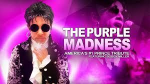Campaign cover image for Purple Madness & King of Pop - Sept 2025