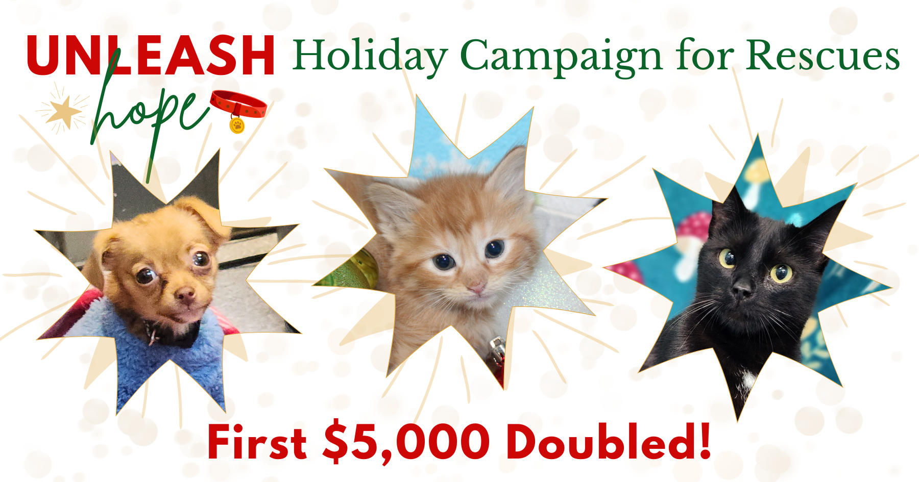 Campaign cover image for Unleash Hope 2025