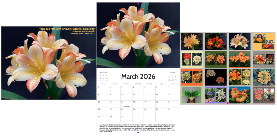 Campaign cover image for NACS 16 Month Wall Calendar (January 2026 to April 2027)  PRE-SALES