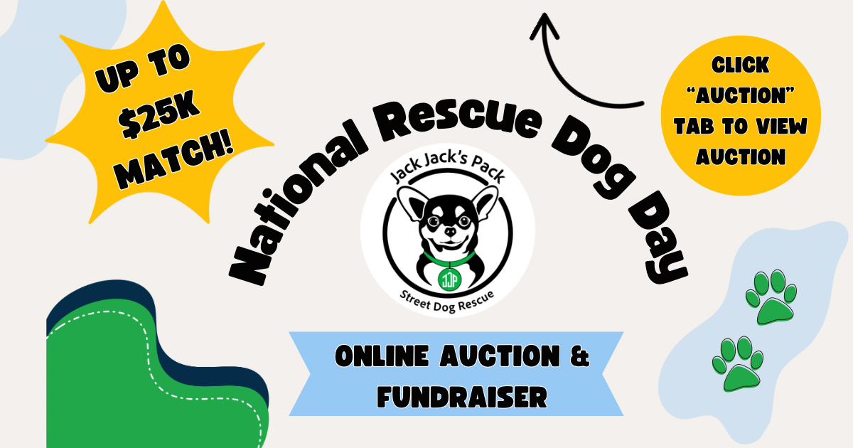 Campaign cover image for National Rescue Dog Day Fundraiser
