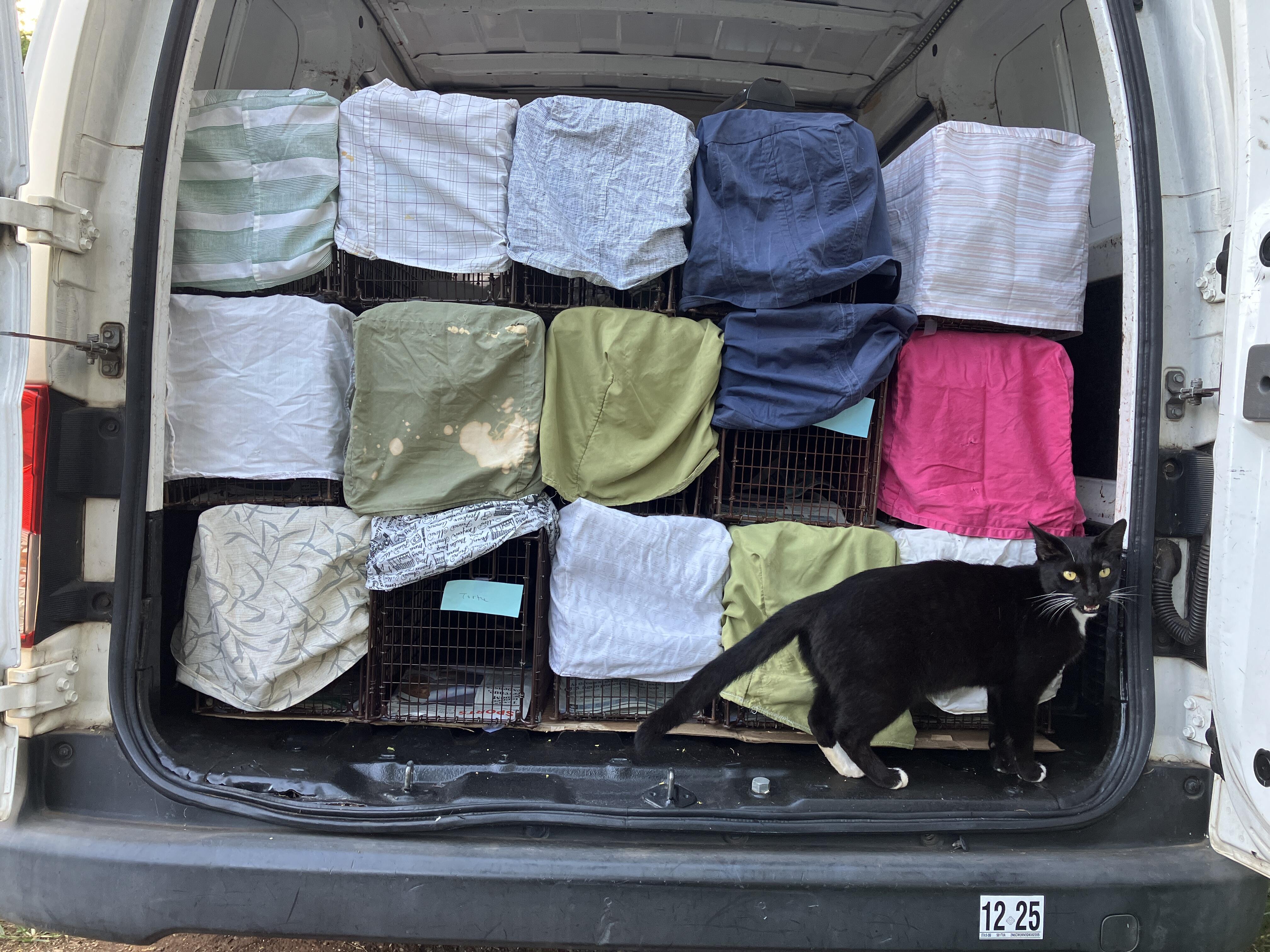 Campaign cover image for Support TNRM