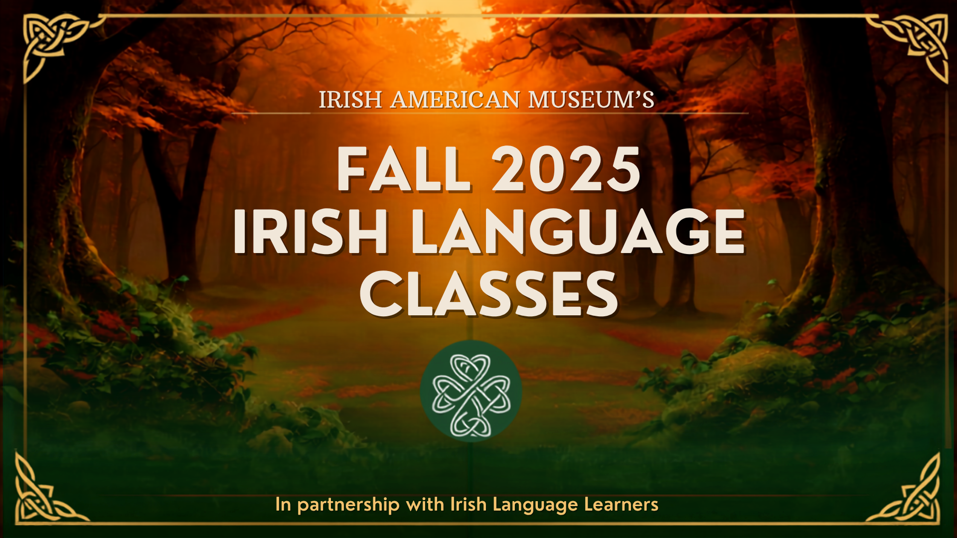 Campaign cover image for Fall 2026 Irish Language Classes