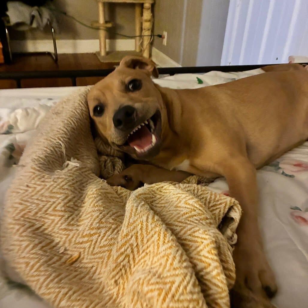 Campaign cover image for Morel Needs a Safe Future — and Your Help to Get There