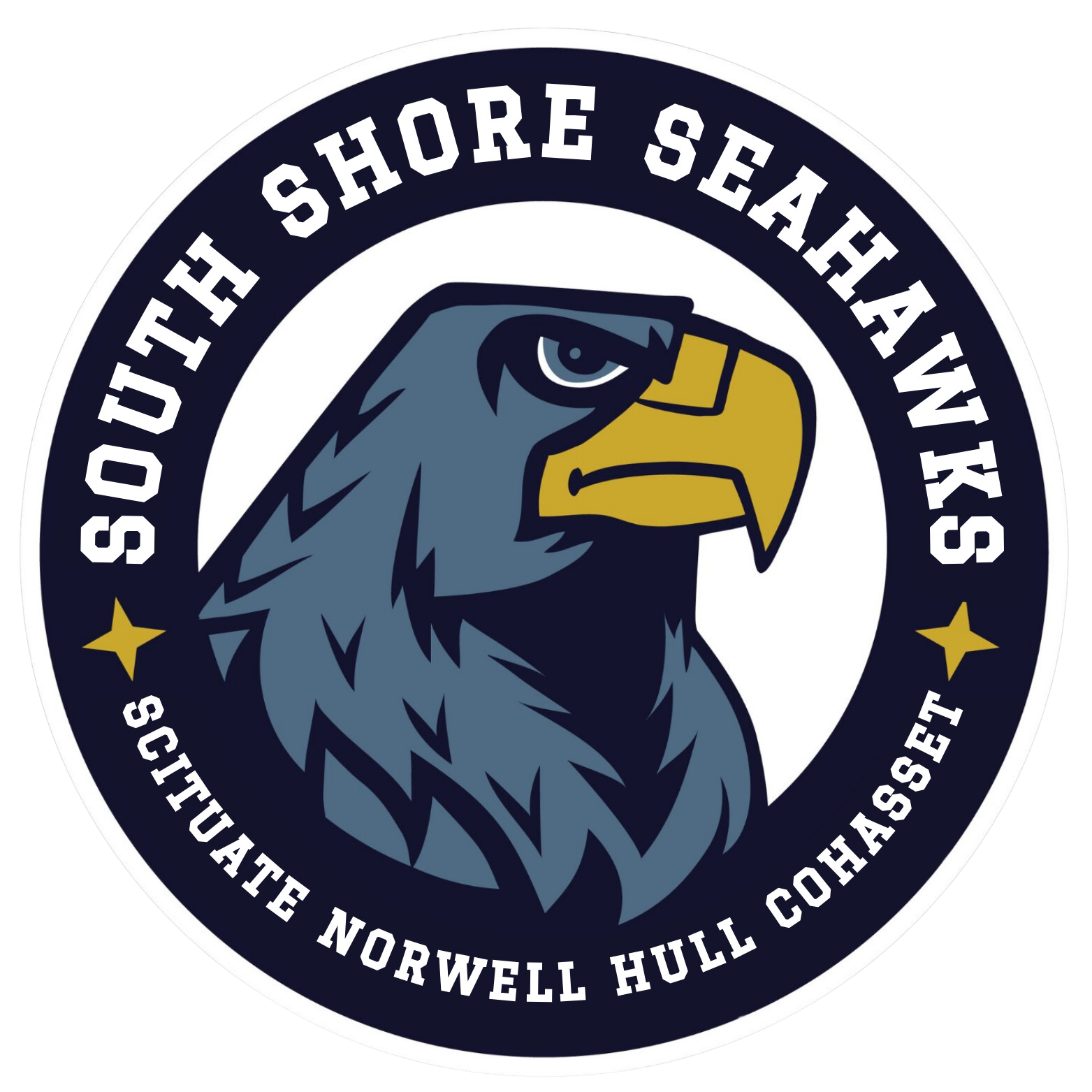 Campaign cover image for South Shore Seahawks Drop-In Hockey