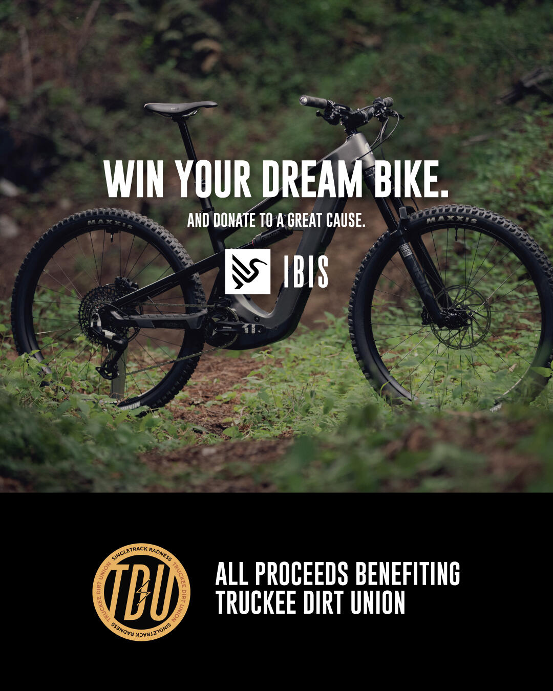 Campaign cover image for Win Ibis's Brand-New Oso! Or Any Ibis Bike of Your Choice!