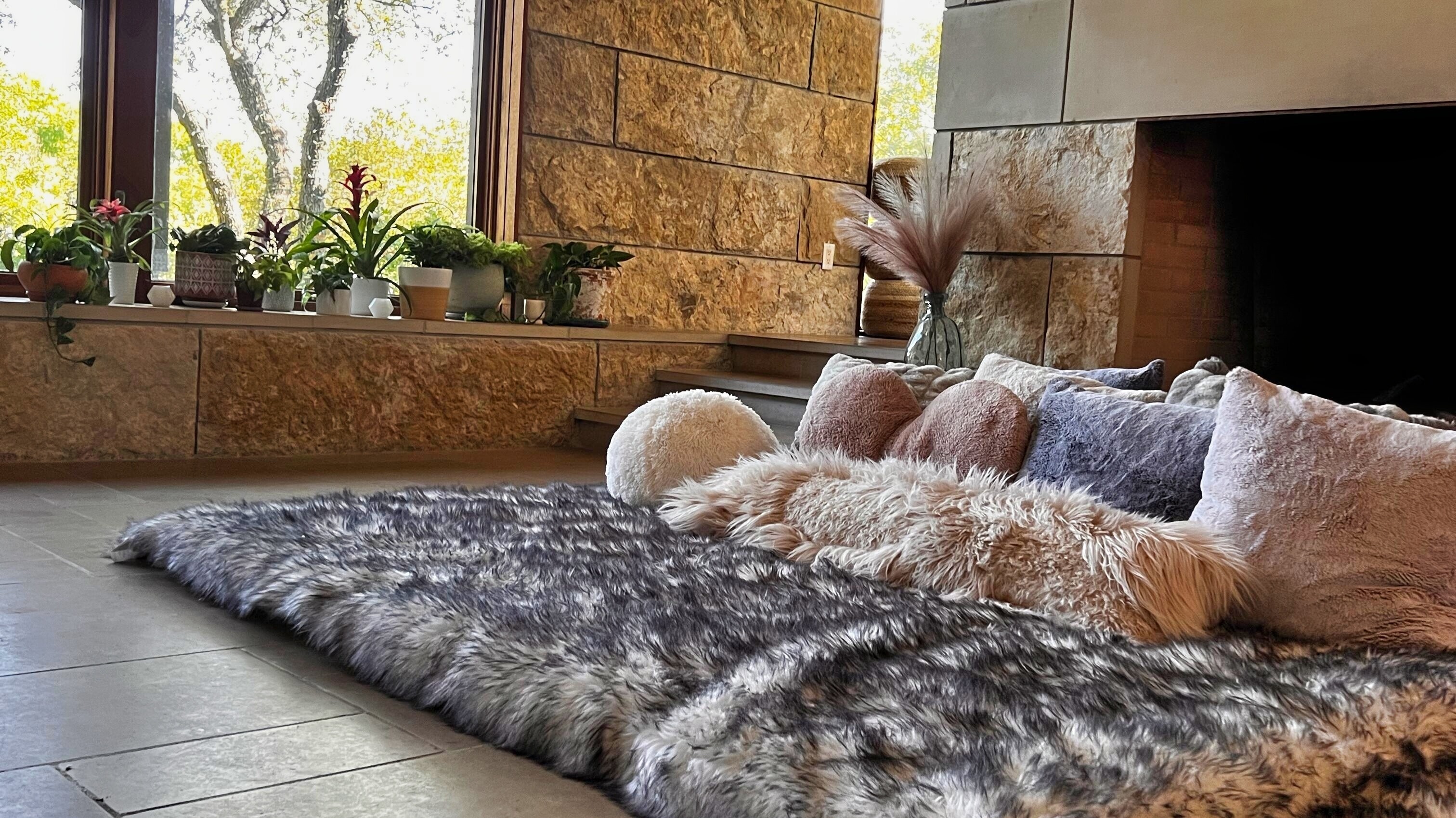 Campaign cover image for Ledgeway Sangha Membership