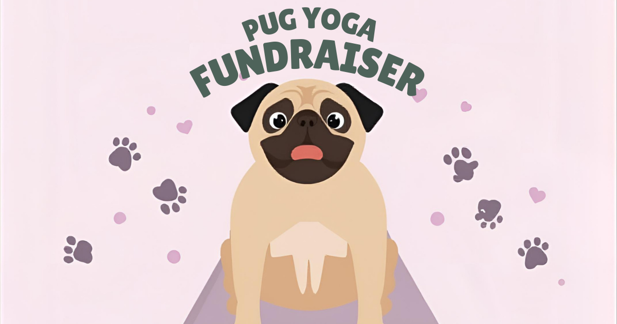 Campaign cover image for Pug Yoga