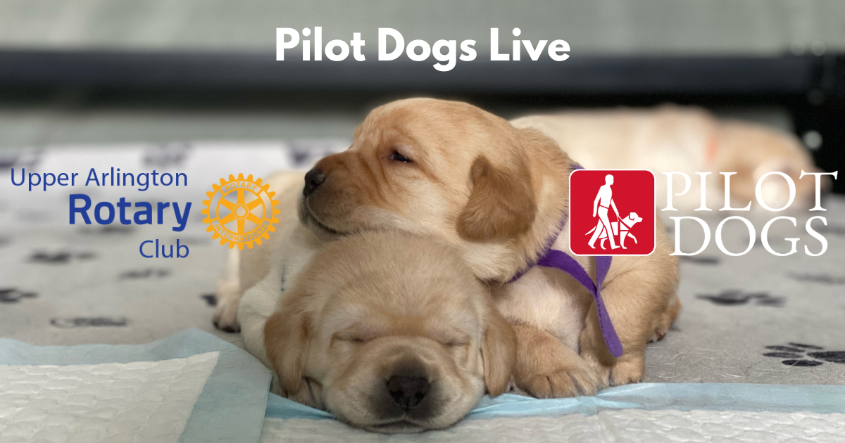 Campaign cover image for Pilot Dogs Live with Upper Arlington Rotary