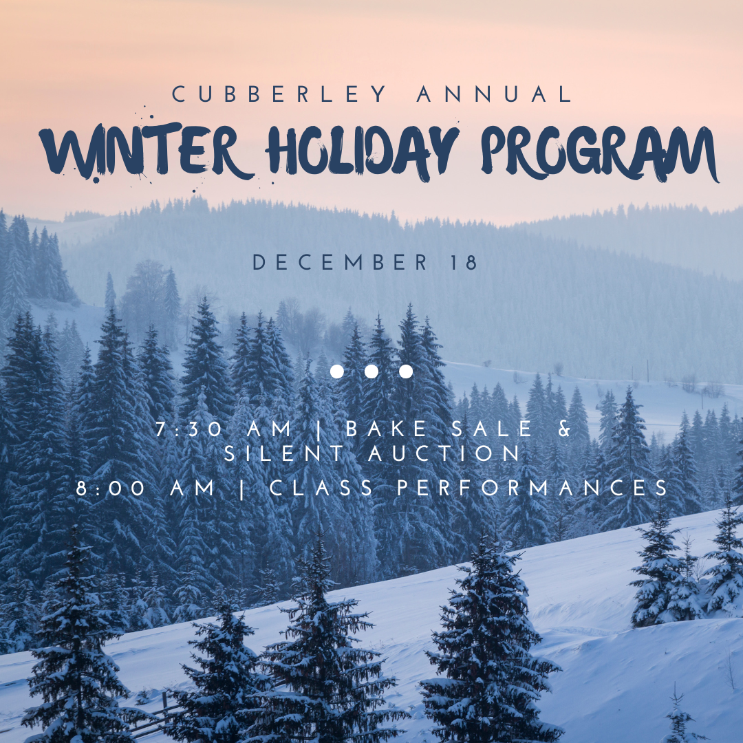 Campaign cover image for 2024 Winter Holiday Silent Auction