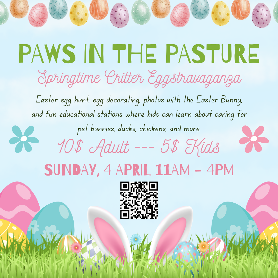 Springtime Critters Paws in the Pasture: Springtime Critter Eggstravaganza | Coastal Cats ...