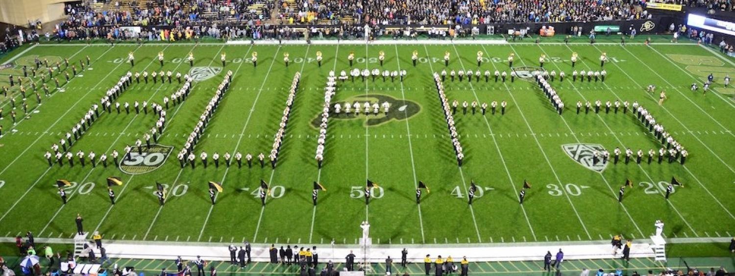 Campaign cover image for Silver Buffs Fundraiser 2022