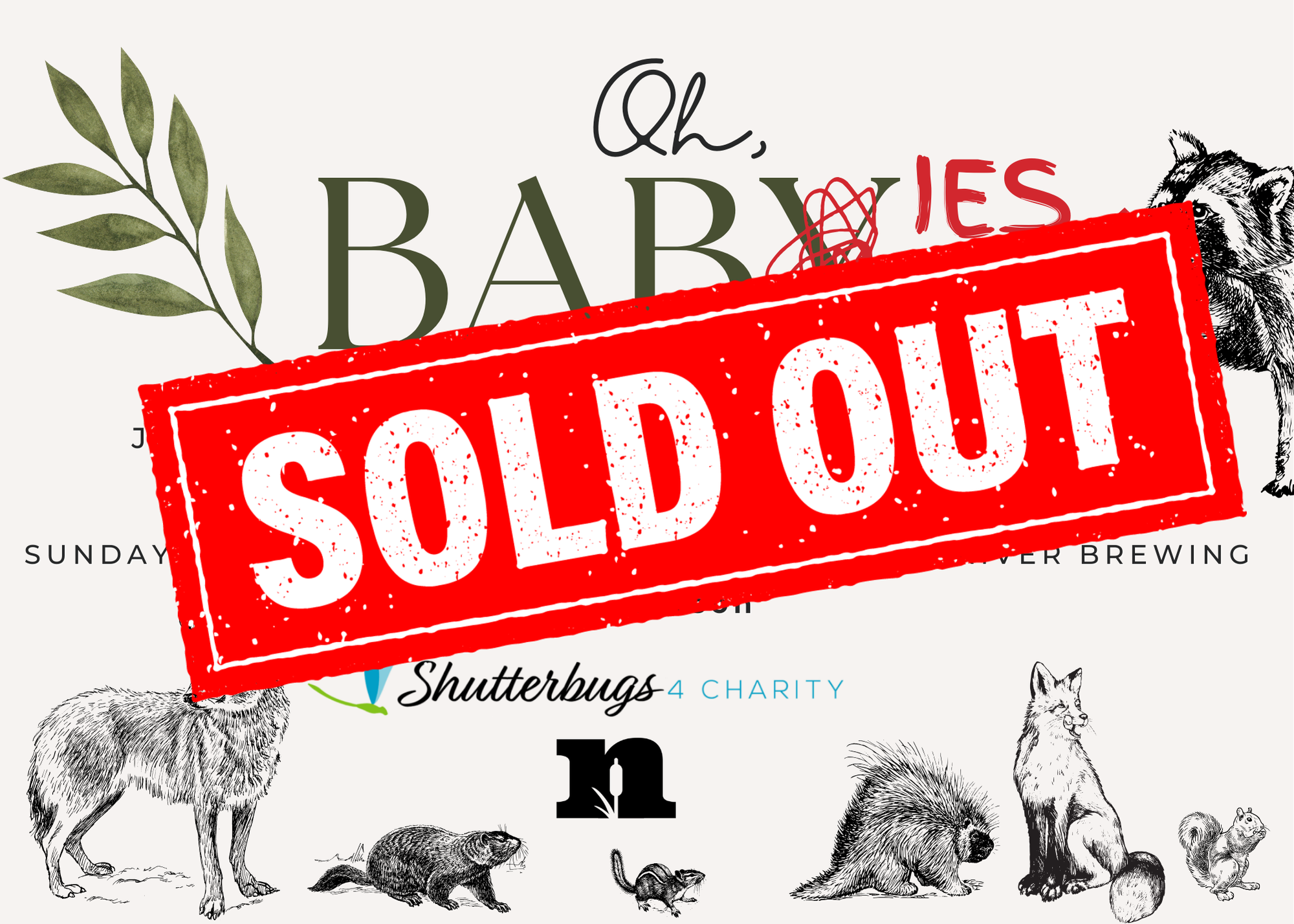 Campaign cover image for SOLD OUT- SRWC Baby Shower 2025