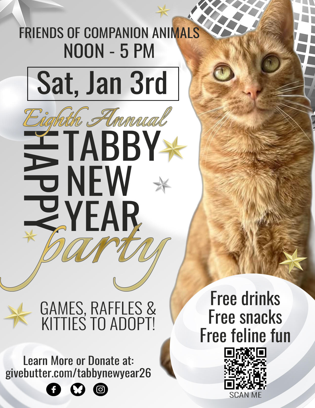 Campaign cover image for FOCA Tabby New Year 2026