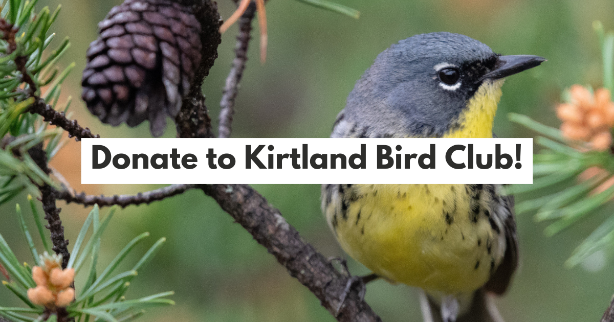 Campaign cover image for Donate to Kirtland Bird Club