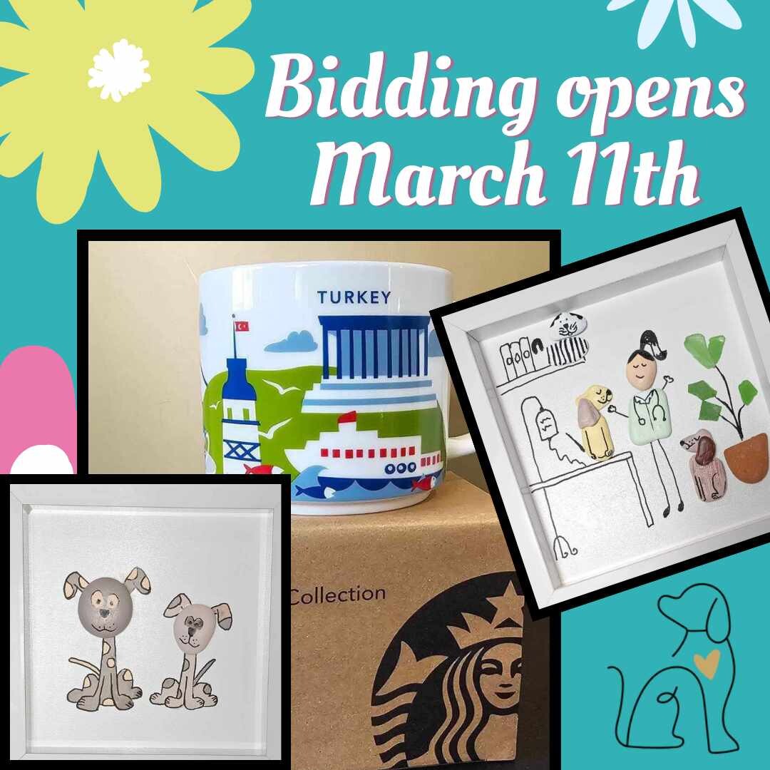 Campaign cover image for 2024 Spring Auction