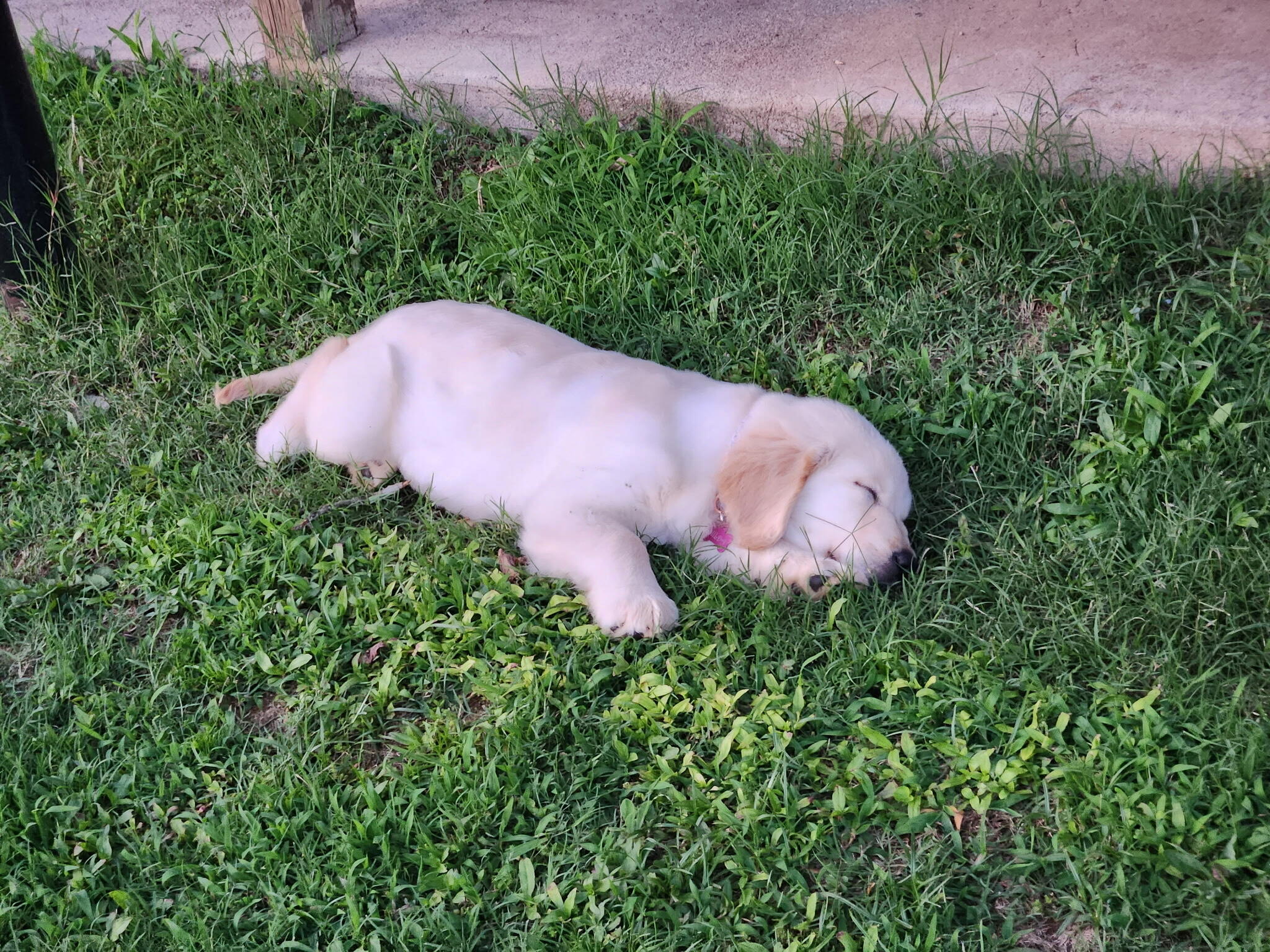 Campaign cover image for Hilda - HeartsRGolden Fund