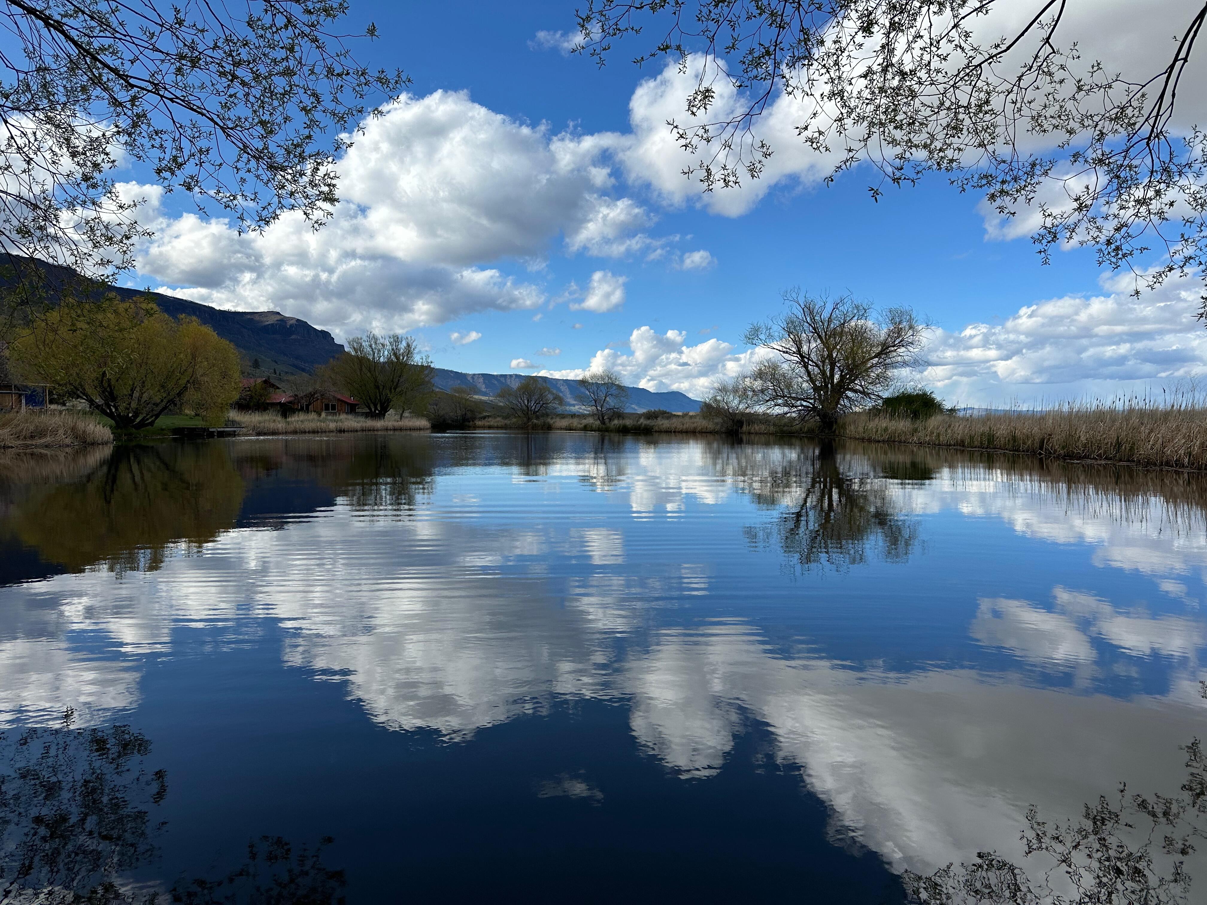 Campaign cover image for End of Year Giving