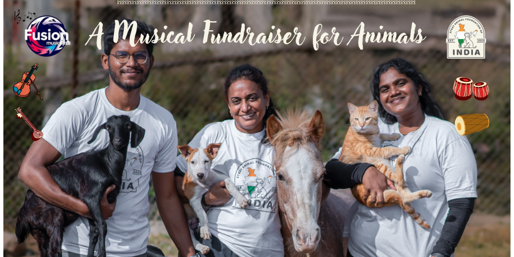 Campaign cover image for Fusion Music Arts Presents: A Musical Fundraiser for Animals