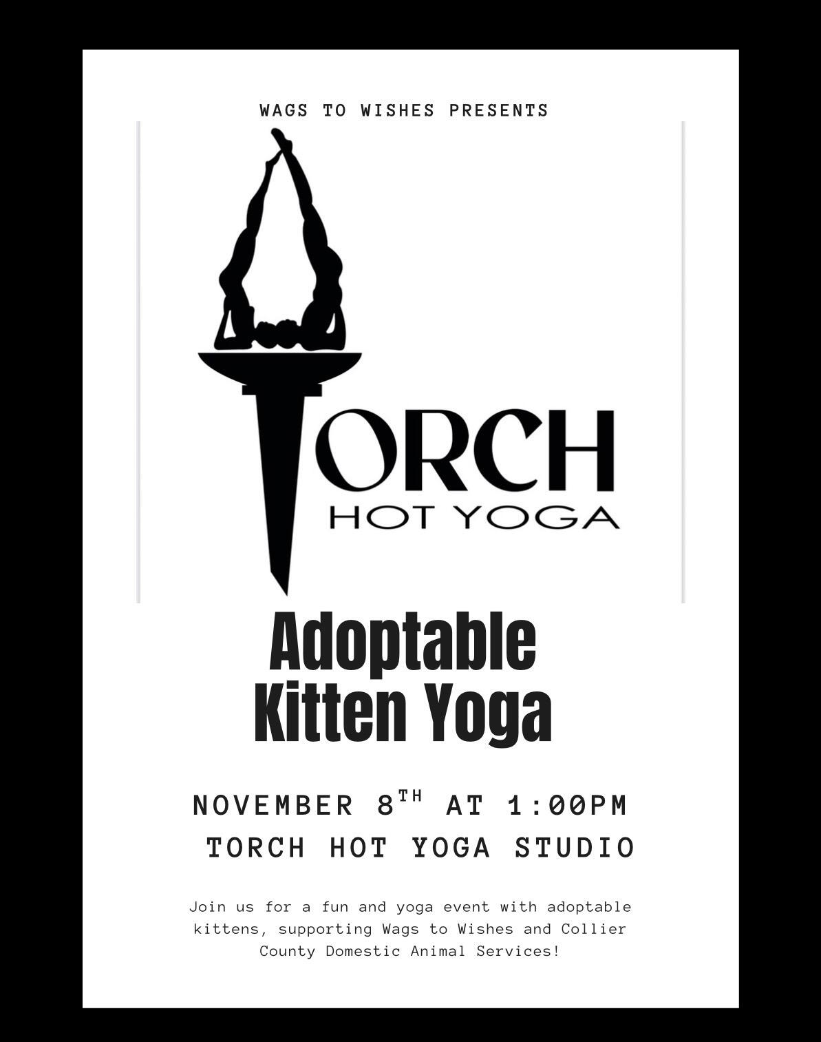 Campaign cover image for Wags to Wishes x Torch - kitten yoga