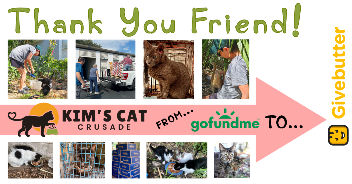 Campaign cover image for FOLLOW Kim's Cat Crusade