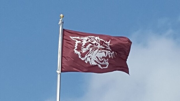 Campaign cover image for Wildcat Long Drive Fundraiser