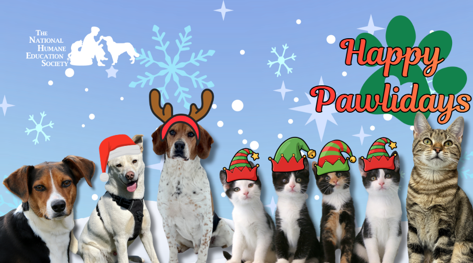 Campaign cover image for Virtual Pawliday Tree