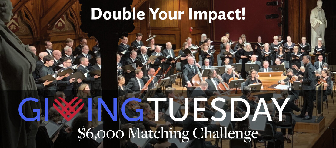 Campaign cover image for GivingTuesday Matching Challenge '23