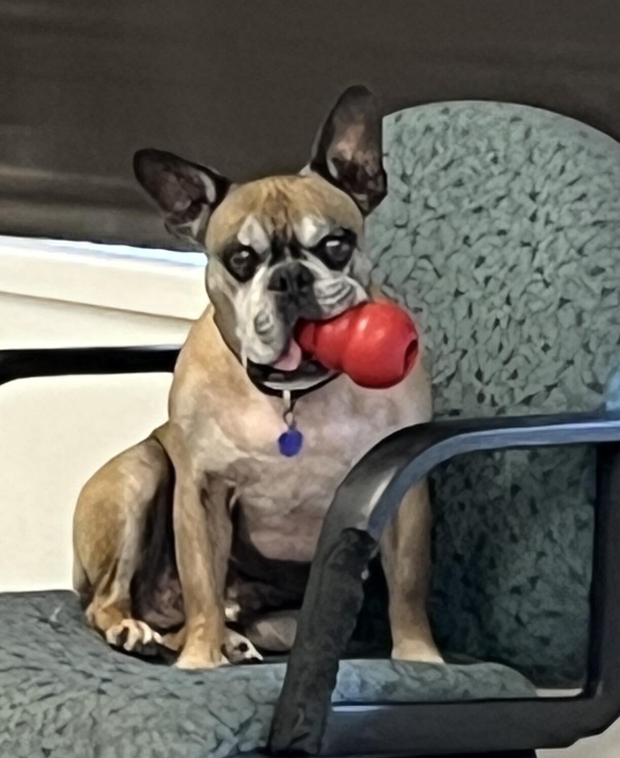 Campaign cover image for PAC-OC September 2025 Donation Match Fundraiser