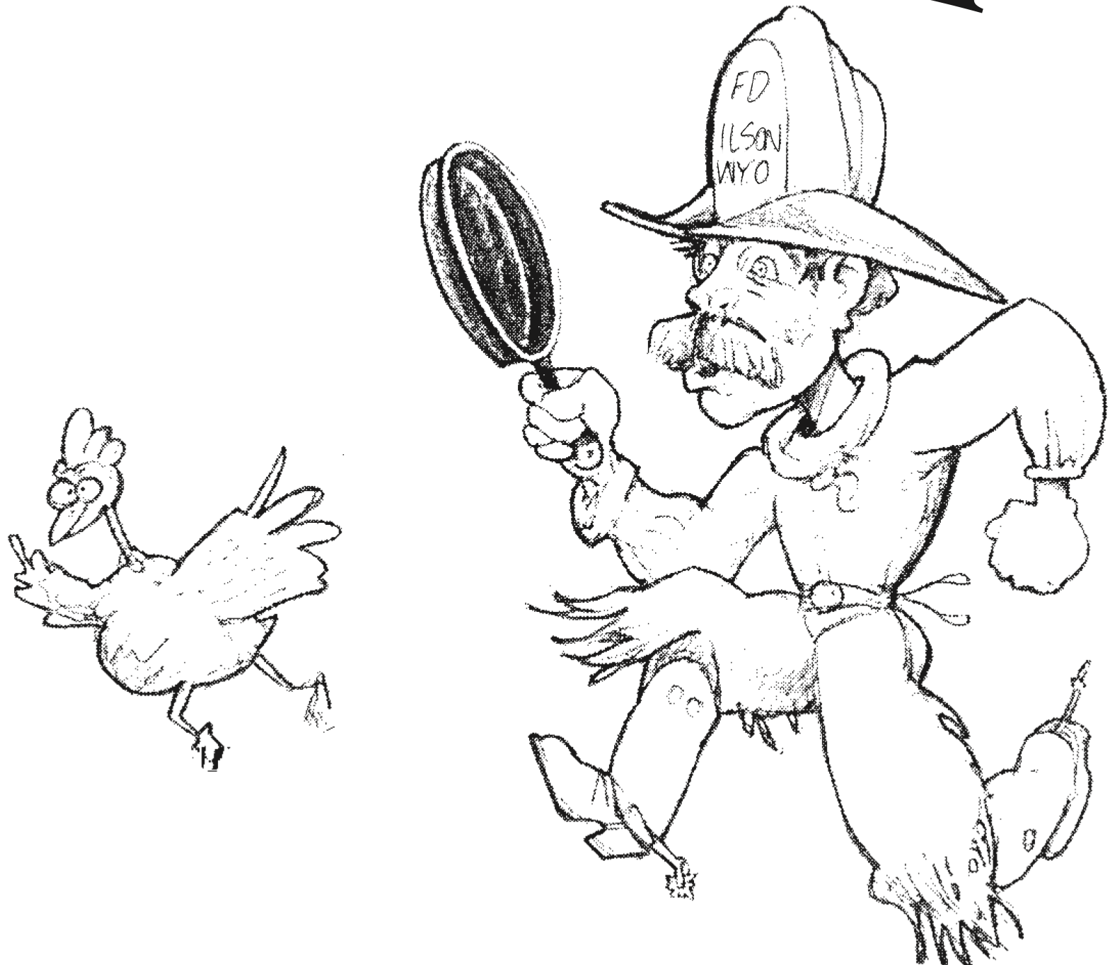 Campaign cover image for Wilson Volunteer Fire Department Association’s 58th Annual Chicken Fry 2025