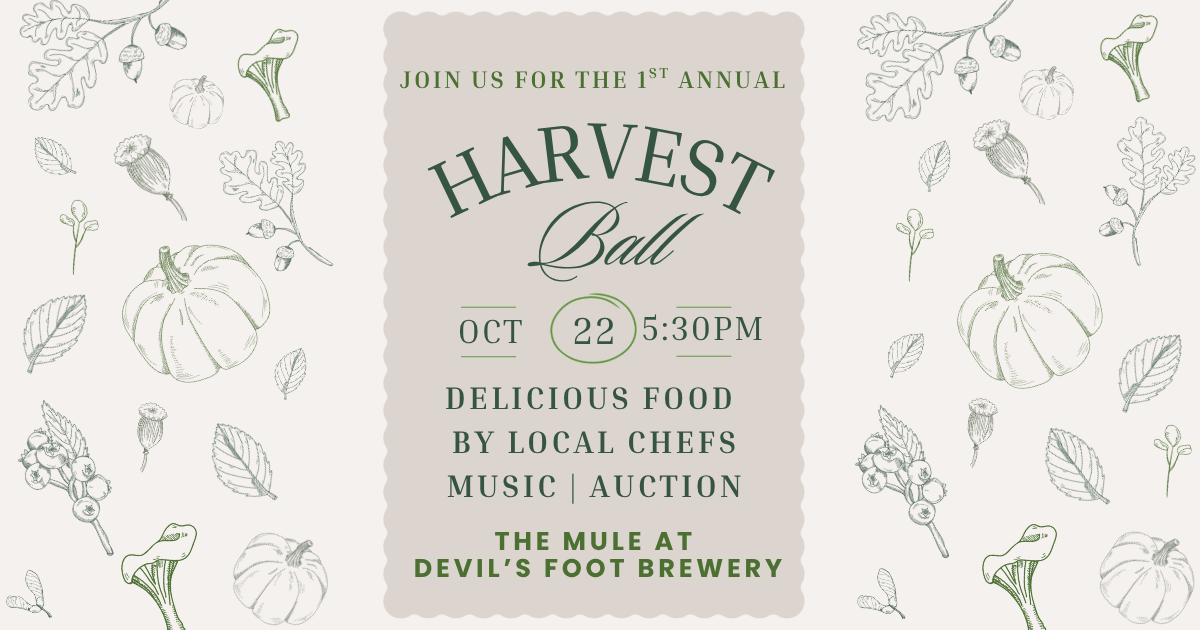 Campaign cover image for Equal Plates Project's Harvest Ball