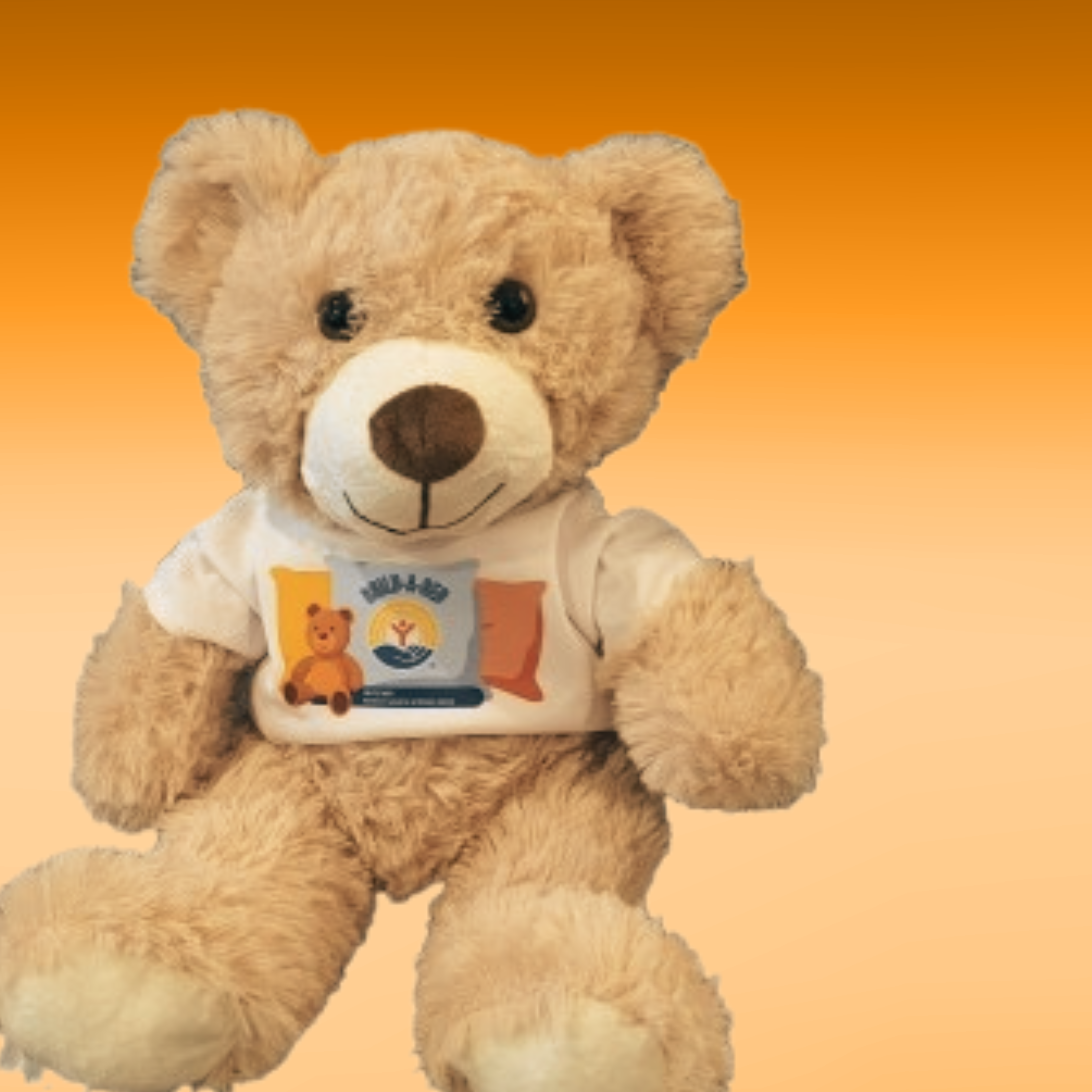 Campaign cover for Bears for Beds