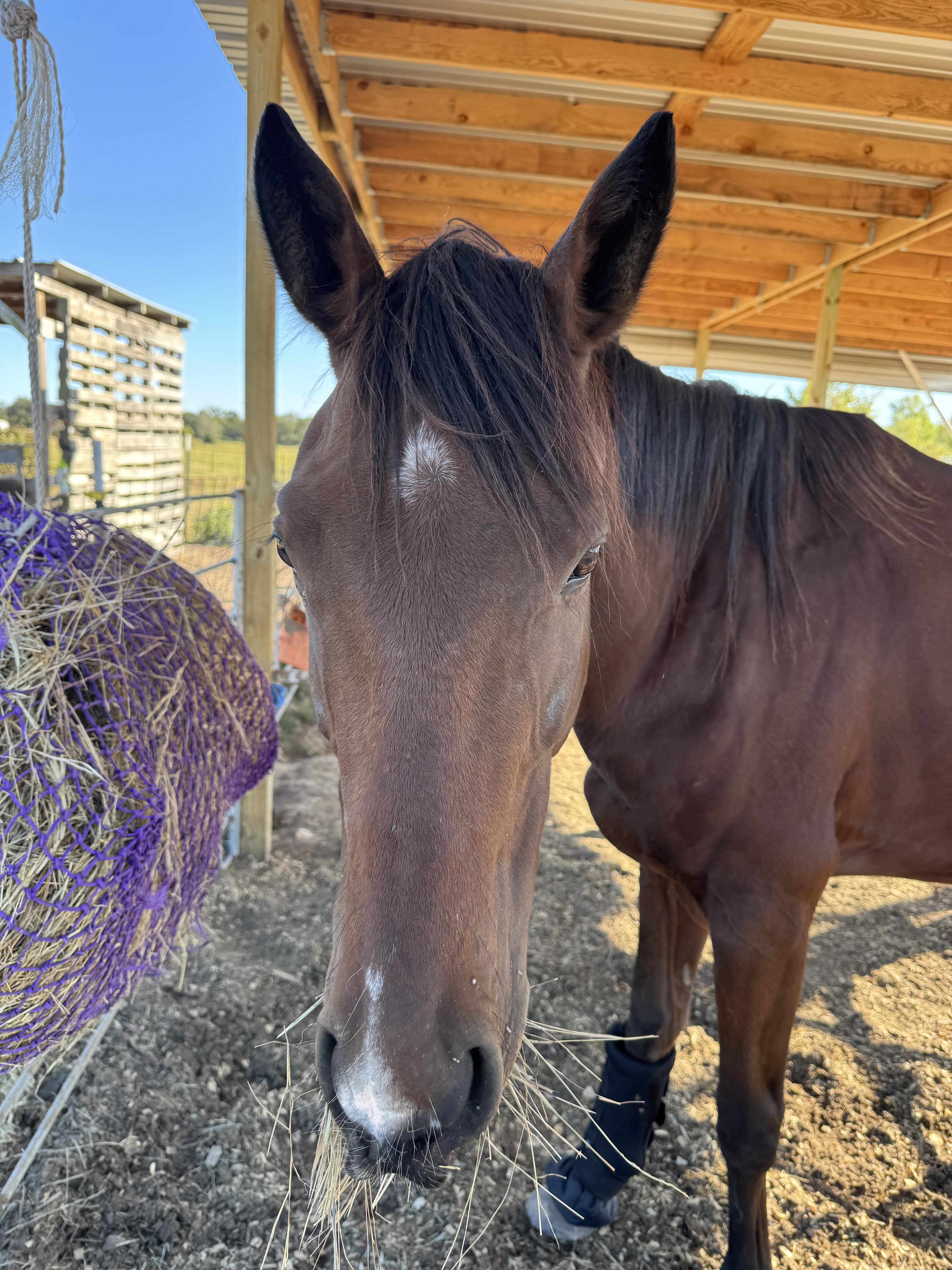 Campaign cover for Sponsor Jack