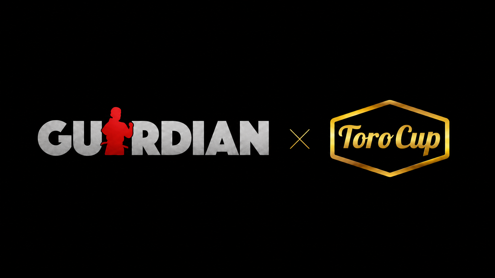 Campaign cover image for Toro Cup's Fundraiser for Guardian