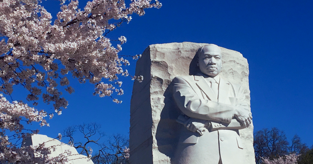 Campaign cover image for Immersive MLK Experience: Equity in Environmentalism 1-27-26