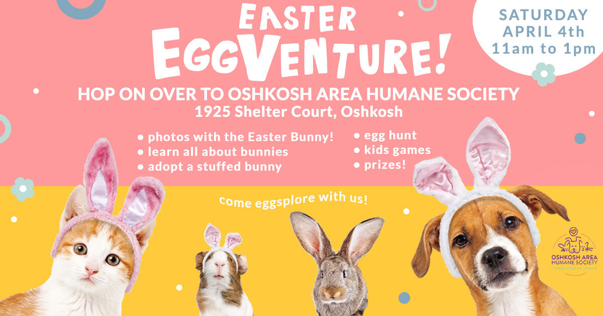 Campaign cover image for Easter EggVenture 2026
