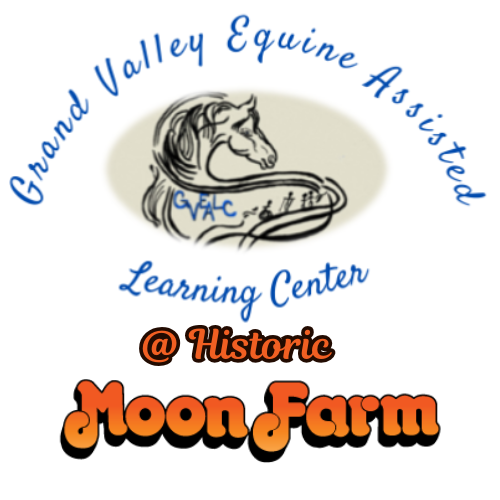 Campaign cover image for Horse and Moon