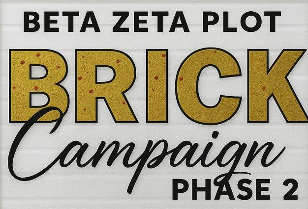 Campaign cover image for Beta Zeta Plot - Personalized Brick Campaign (Phase 2)