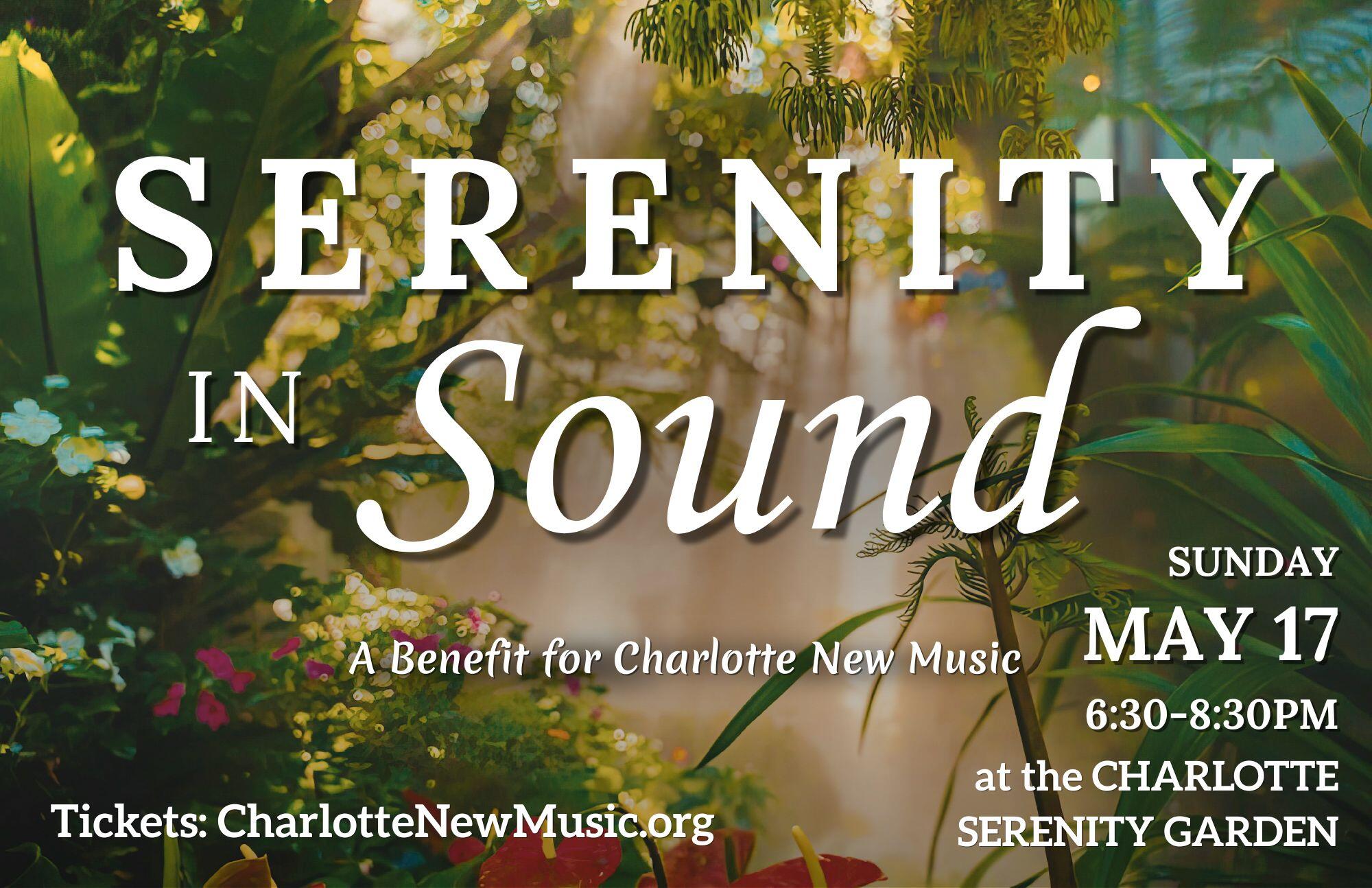 Campaign cover image for Serenity in Sound