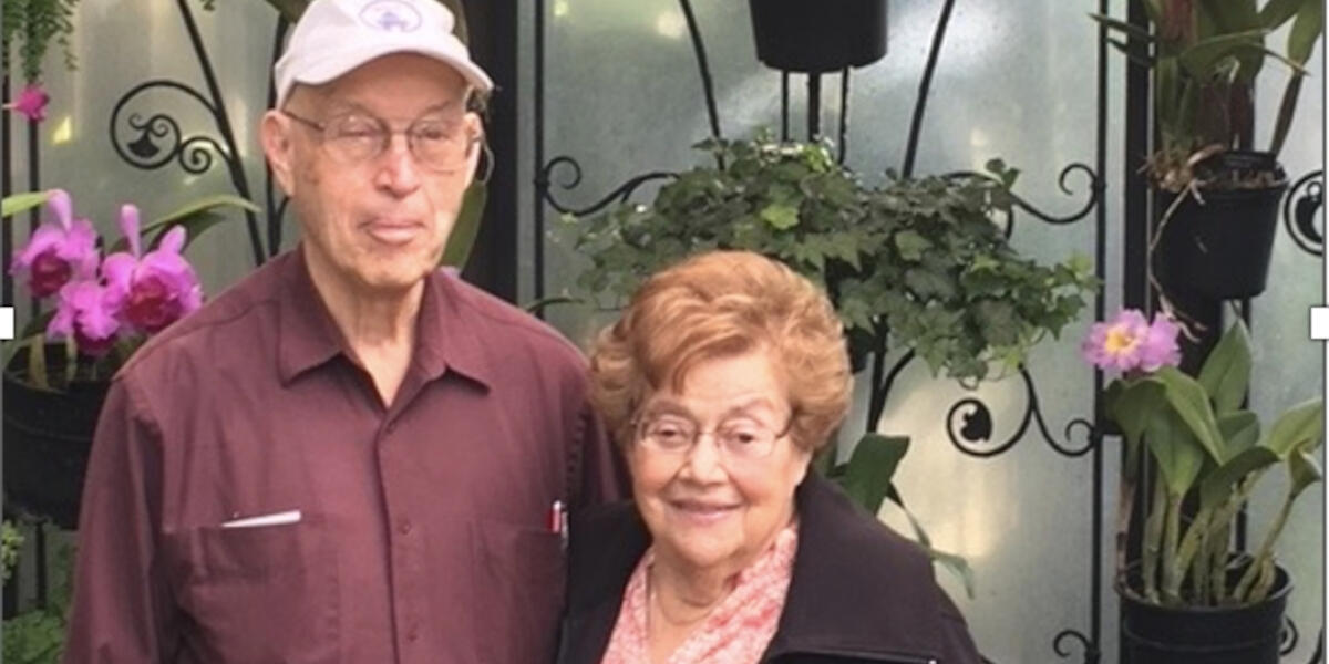 Campaign cover image for In honor of Lois Galpern, mother of Dan Galpern