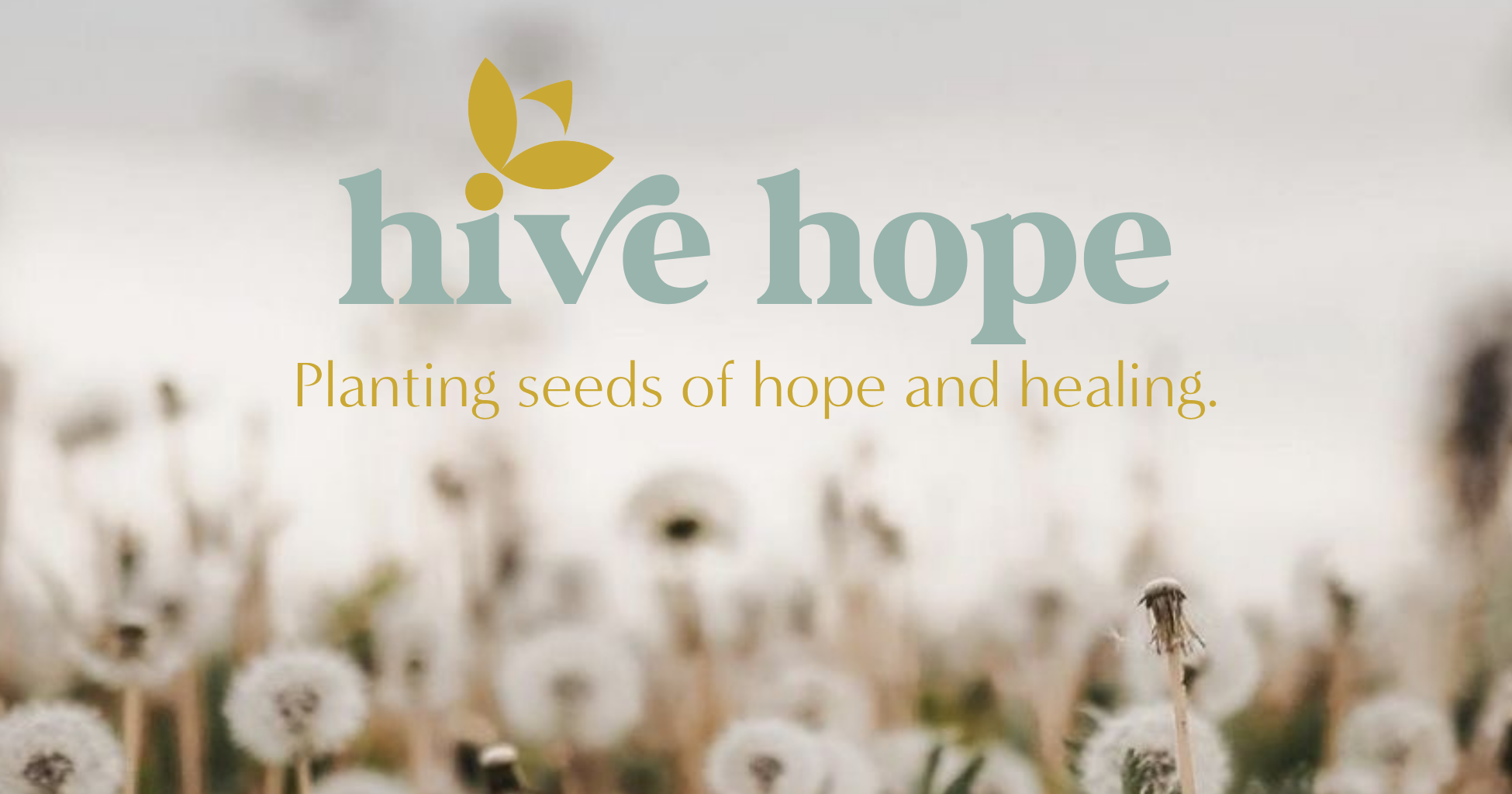 Campaign cover image for Hive Hope
