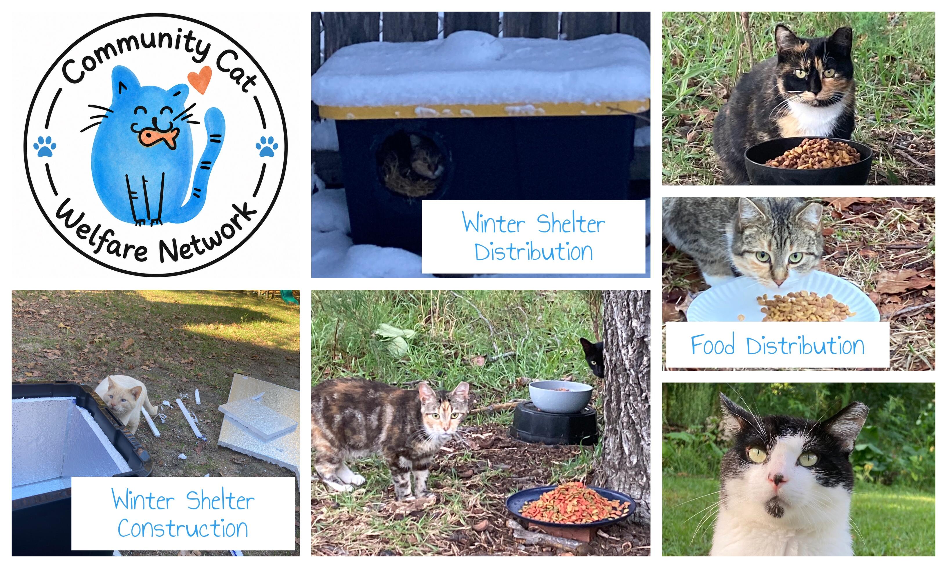 Campaign cover for Community Cat Welfare Network Fund