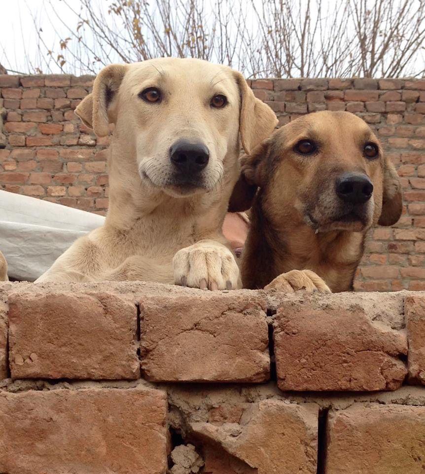 Campaign cover image for Emergency Preparedness Support