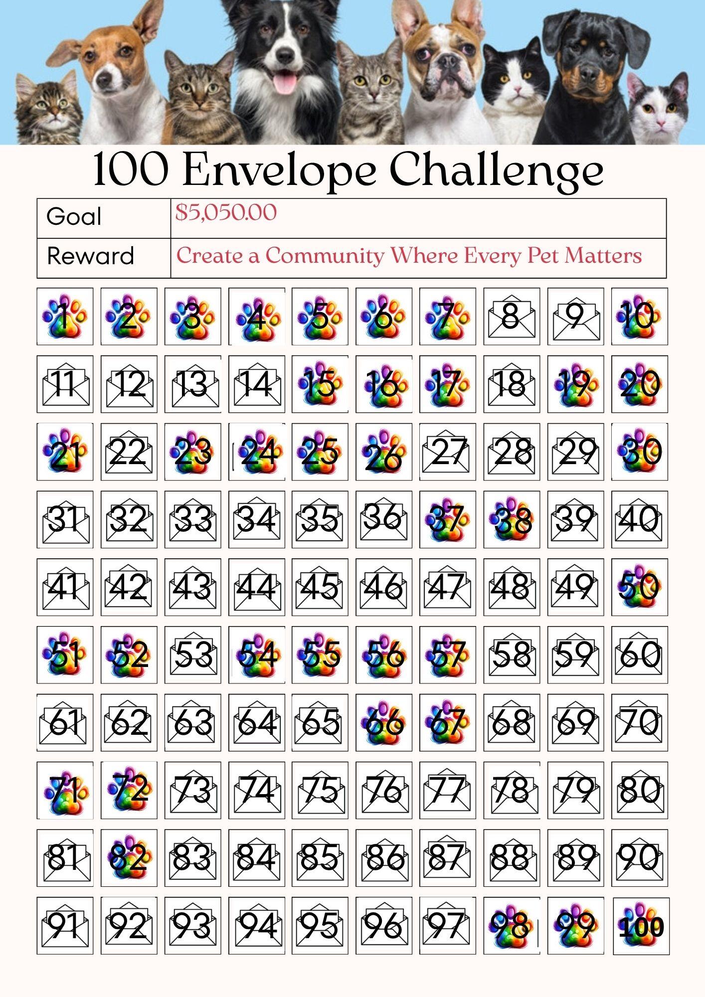 Campaign cover image for 100 Envelope Challenge