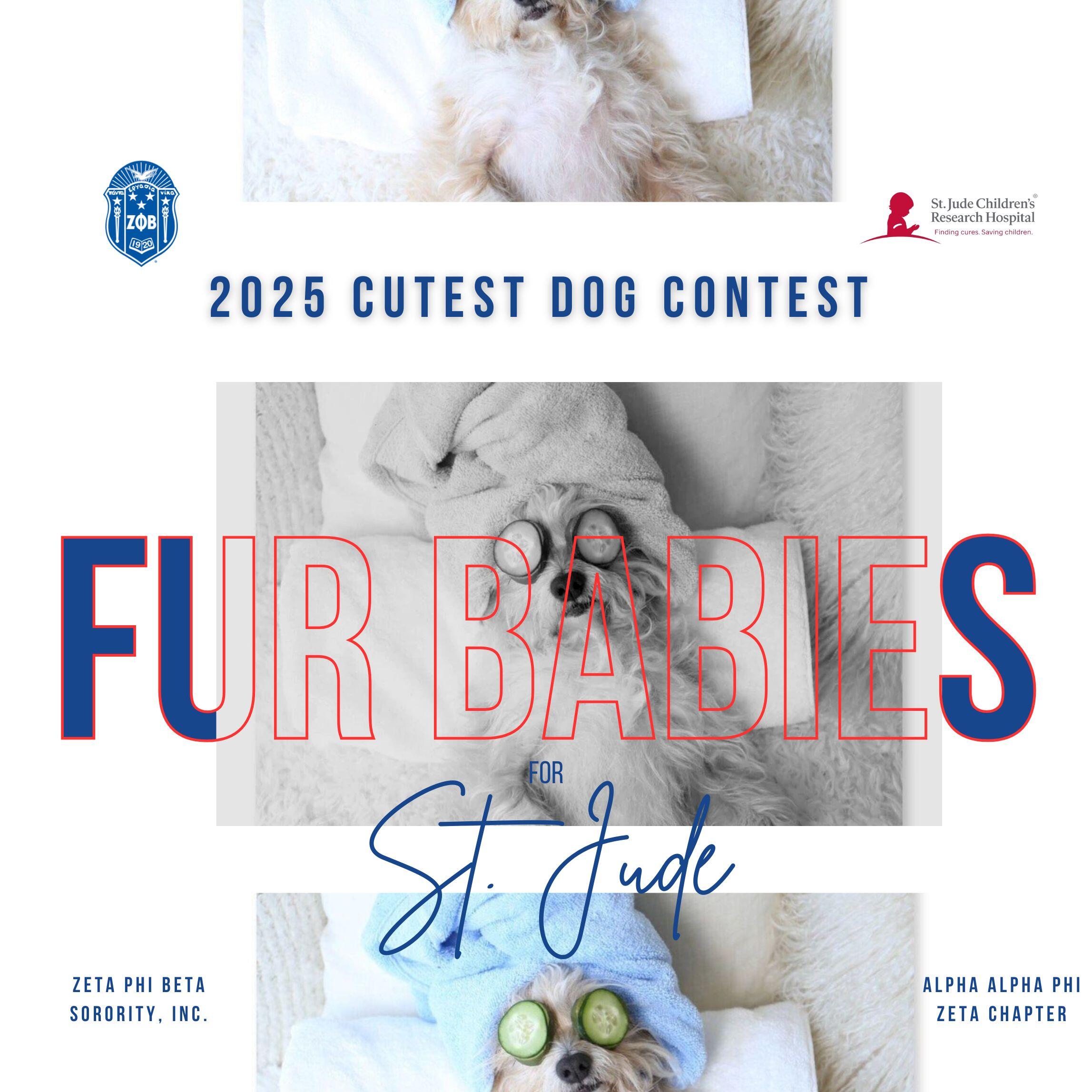 Campaign cover image for Fur Babies for St. Jude Children's Research Hospital