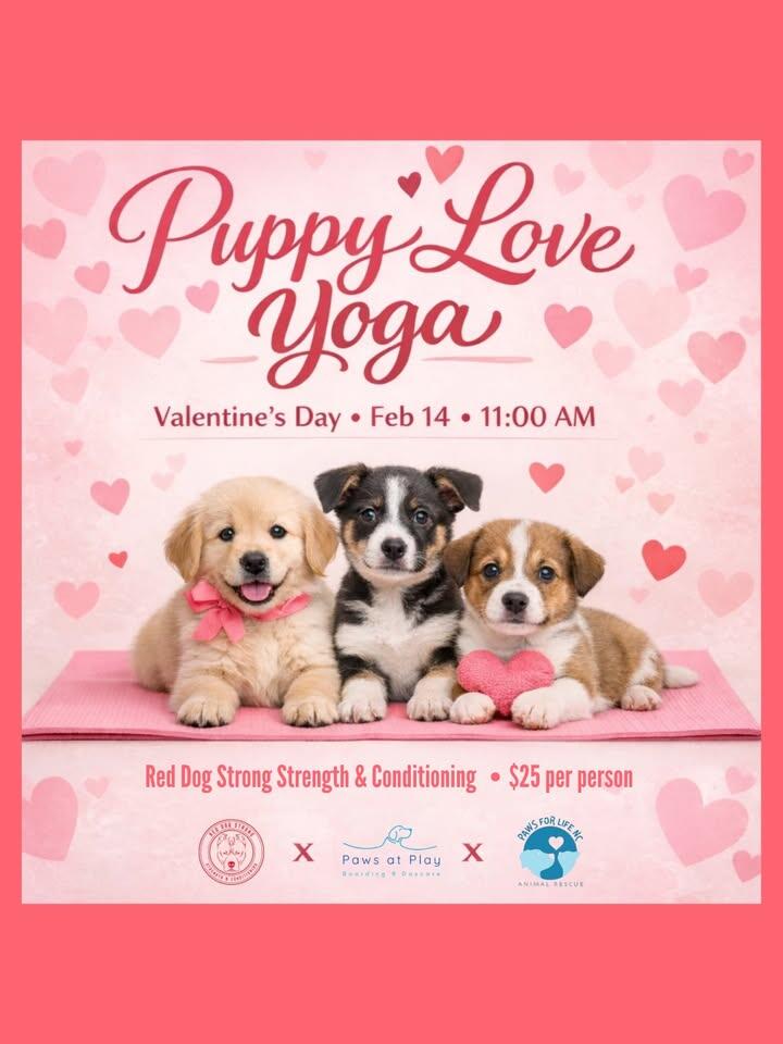 Campaign cover image for Puppy Love Yoga