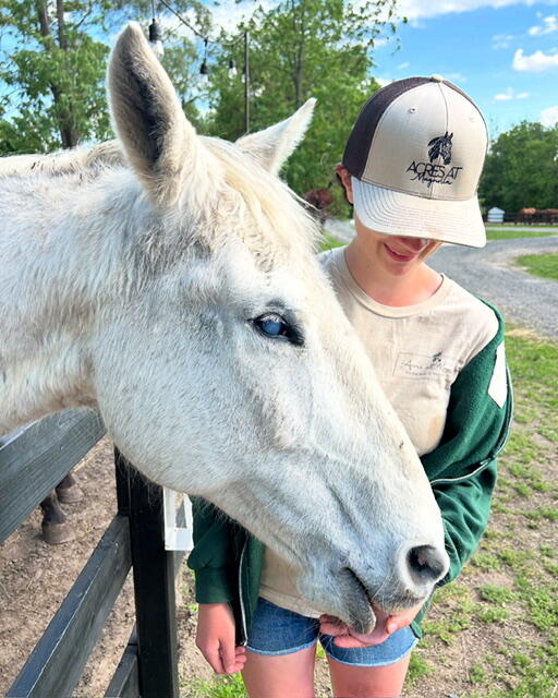 Campaign cover image for Animal Program For Tweens & Teens