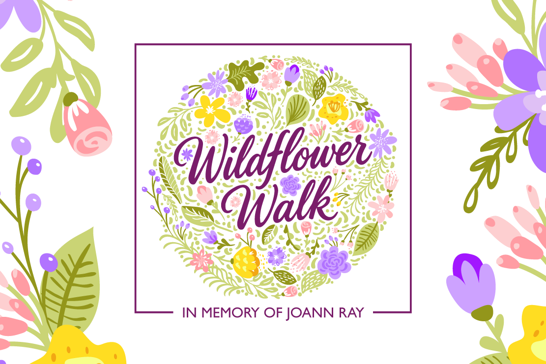 Campaign cover image for Wildflower Walk