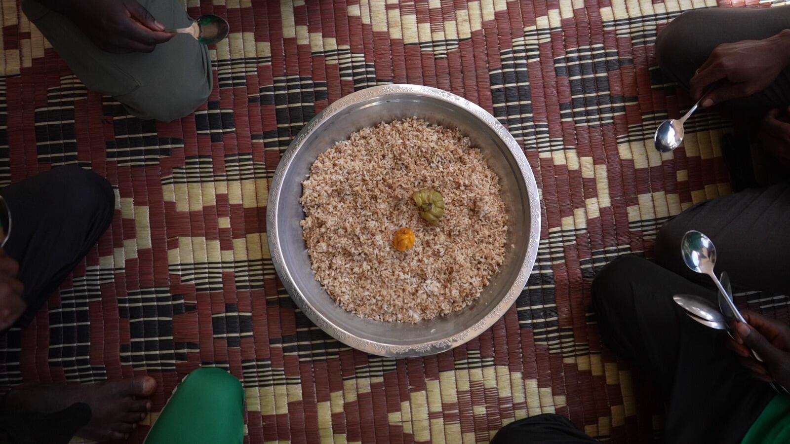 The Rice Initiative