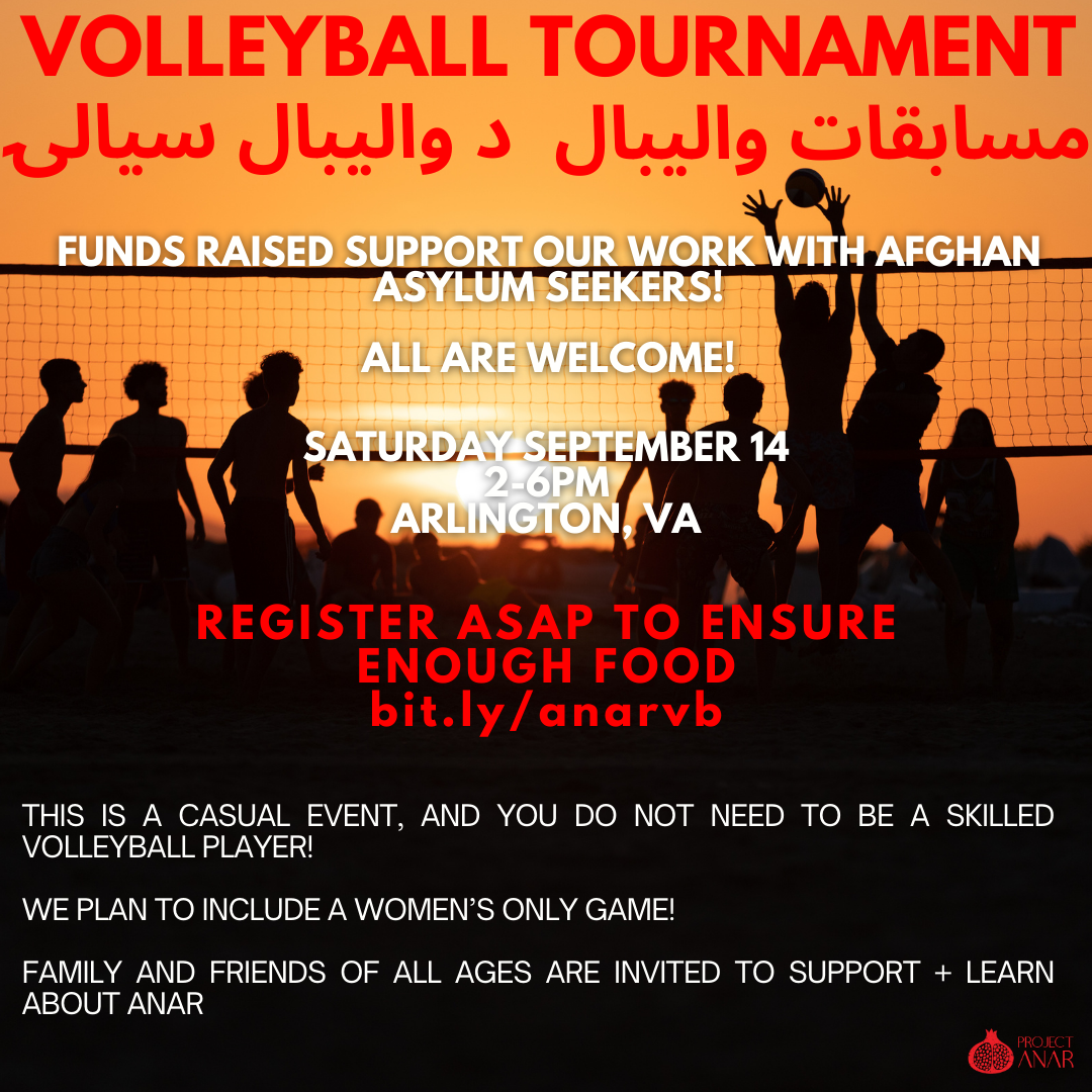 Campaign cover image for DMV Community Picnic and Volleyball Tournament!
